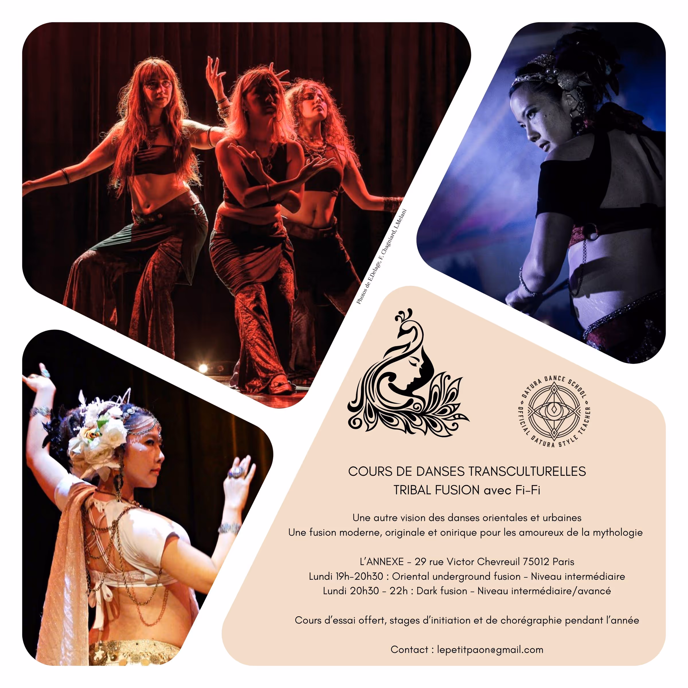 Flyer de Fi-Fi — Tribal fusion